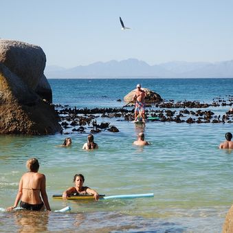 Boulders Beach Bathers 