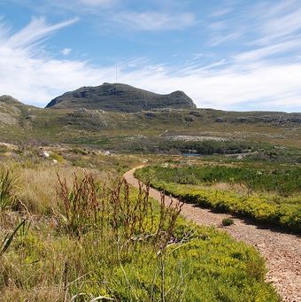 Hiking in Silvermine, view towards Constantiaberg